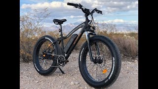 Rad Power Bikes RadRover Fat Electric Bike Review  Electric Bike Report [upl. by Hazel]