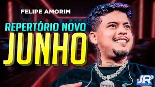 Felipe Amorim  Músicas Novas  São João 2024  Repertório Novo  Maio Junho 2024 [upl. by Elatsyrk614]