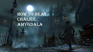 Epic fight against Amygdala defiled chalice [upl. by Aicitel]