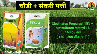 गेहूं में टॉप 8 खरपतवार नाशक दवाइयां  gehu me kharpatwar nashak dawa  wheat herbicide [upl. by Duj]