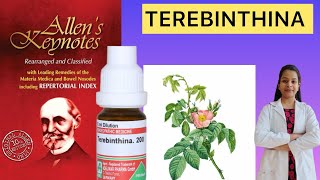 Terebinthenia homeopathic medicine Allen’s keynote materia medica in Hindi [upl. by Christen]