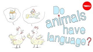 Do animals have language  Michele Bishop [upl. by Neiviv788]