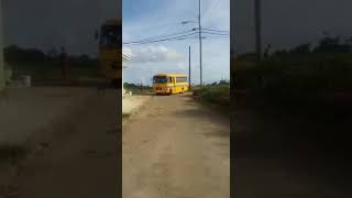 Barbados Minibus Guide to the Long 1 by B31 🔥🔥🔥 [upl. by Remos697]