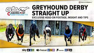 Greyhound Derby Straight Up  Quarter Finals  Greyhound Tips  RPGTV [upl. by Siskind]