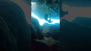 Cave diving 💦You in or out 🐟freediving cavediving cave ocean hawaii [upl. by Cyprus355]