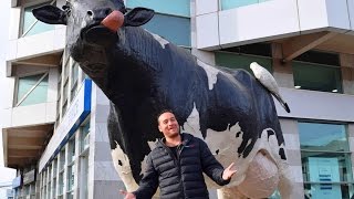 ðŸ„ OSORNO CHILE City Tour  O que fazer [upl. by Eirojram262]