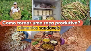 Aqui produzimos nosso próprio ALIMENTO doce de LEITE com mamão COLHEITA de feijãoalmoço e mais [upl. by Adnaram]