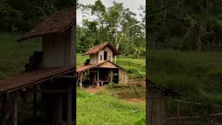 Kehidupan Ku ‼️ Setelah Memilih Tinggal Di Gubuk Kecil Tanpa Listrik Di Pinggir Hutan shorts [upl. by Soloma851]