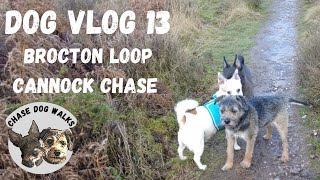 Dog Vlog 13 🐾🐶  Brocton Loop at Cannock Chase [upl. by Fleta852]