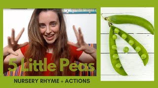 5 Little Peas  Nursery Rhyme [upl. by Debor234]