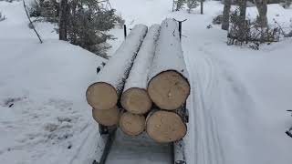 Skandic 900 ace Widetrack pulling logs with bob sleds [upl. by Lihp]