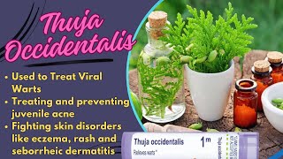 Thuja Occidentalis  Homeopathic Medicine  Uses Dosage amp Side Effects  Hindi Urdu [upl. by Badger]