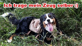 One Tigris 🔴 Hunderucksack  Outdoor mit Hund Geschirr Wandern [upl. by Stearne]