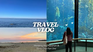 Monterey Bay Aquarium amp Santa Cruz VLOG PT 1 beaches sea otters best aquarium In California [upl. by Egduj]