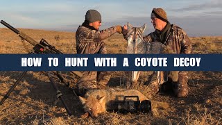 How To Hunt With A Coyote Decoy [upl. by Eartnoed291]