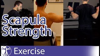 Scapula Strengthening Exercises  Early Shoulder Rehab [upl. by Loma]