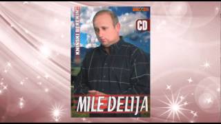 Mile Delija  Momak sa Banije  Audio 2006 [upl. by Enairb]