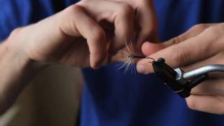 Tenkara flytying sakasa kebari reverse hackle fly [upl. by Aurelia]