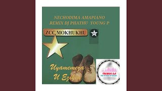 NECHODIMA AMAPIANO MIX [upl. by Younglove264]