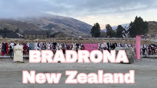 Cardrona Bra Fence New Zealand [upl. by Athelstan]