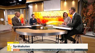 Kan du termerna inom jobb och karriärspråk  Nyhetsmorgon  TV4 amp TV4 Play [upl. by Raye]