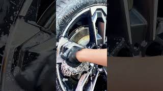 Maintenance Wash Starter Pack shorts detailing cardetailing [upl. by Ocirnor]