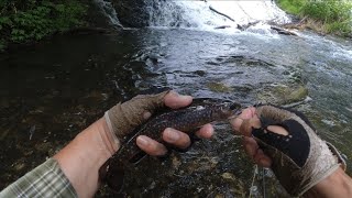 Flyfishing Okunikko Yukawa奥日光湯川、小滝～湯滝フライフィッシング [upl. by Rutherfurd]