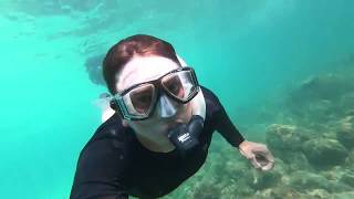 Snorkeling na Ilha Grande [upl. by Messing]