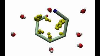 Hydrophobic Interactions in Protein Folding [upl. by Shaia834]