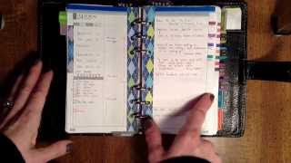 Focus On The Daily Pages DIYFish Lifemapping Inserts [upl. by Hsemin]