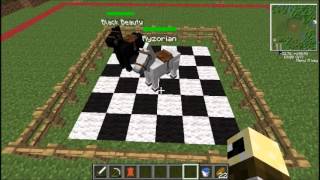 Mo Creatures Tutorial  how to breed your Horses in Mo Creatures 371 and later [upl. by Gamaliel]