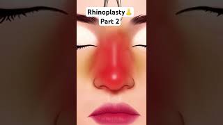 Rhinoplasty ANIMATION asmr [upl. by Medlin601]