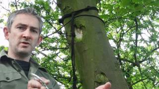 Bushcraft  Bungee Tarp Setup amp String Hammock Techniques [upl. by Aznarepse288]