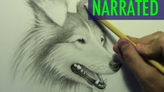 How to Draw a Dog Narrated Step by Step [upl. by Aramen626]