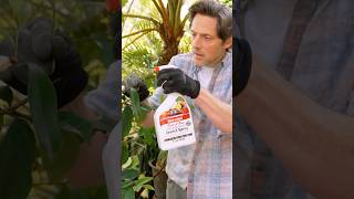 Beat the bugs the natural way with Richgro BeatABug gardenpests gardeningtips garden [upl. by Anayt704]