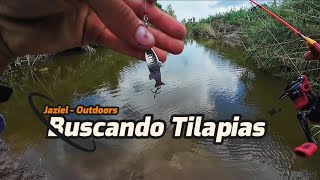 Pesca LIGERA buscando TILAPIAS con SEÑUELOS pescando en arroyo [upl. by Ranchod]