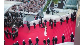 Cannes Film Festival 2024  77th Edition [upl. by Nitsed]