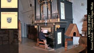 Samuel Scheidt  Das Orgelwerk  Complete Organ Works  Toccata SSWV i20a [upl. by Gnouhc235]