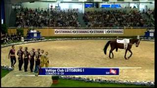 Voltigieren  Kür Lütisburg 1  CHIO Aachen 2009  Nationenpreis  Switzerland 1  Rang 4 [upl. by Hiett]