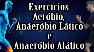 Definição de Exercícios Aerobio Anaeróbio Lático e Anaeróbio Alático  Desenrolando a Fisiologia [upl. by Fillender]