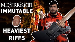 MESHUGGAH  Immutable But Its Only The Heaviest Riffs [upl. by Kinny181]