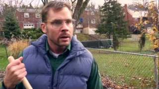 Pittsburgh Dad Raking Leaves [upl. by Suirtemed69]