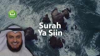 Surah YASIN Merdu dan Menyejukkan  Mishari Rasyid AlAfasy  Tadabbur Daily [upl. by Airednaxela]