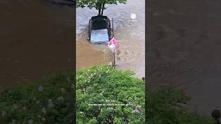 quotStop What Are You Doingquot Driver Plunges Into Flooded Creek Climbs Pole [upl. by Aruabea]