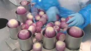 How Its Made  Onions Gills Onions [upl. by Wooster]