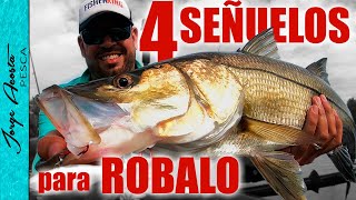 4 Señuelos para pescar ROBALO  2022 [upl. by Killigrew79]