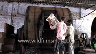 Process of leather tanning at a tannery in Kanpur [upl. by Cirde]