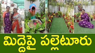 ఈ మిద్దె తోటలో కొత్తగా బోలెడన్ని ఐడియాలు  Garden Tour  Terrace Garden  Creations By Shobha  TTH [upl. by Lorinda]