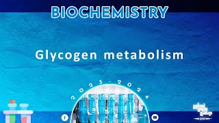 L14 CHO metabolism 5 Glycogenesis and glycogenolysis  Biochemistry [upl. by Dielu]