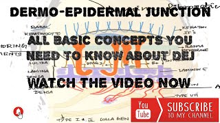 DERMOEPIDERMAL JUNCTION [upl. by Allisan]